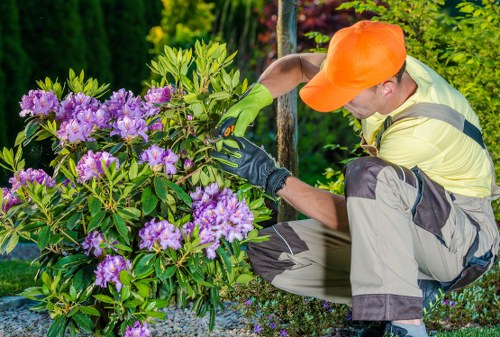 Gardener Hanwell team assessing a suburban garden