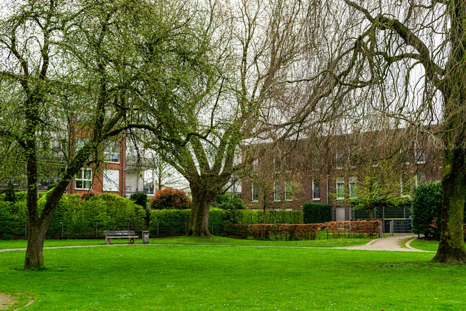 A serene urban garden scene in Boston Manor Park, featuring a well-maintained lush green lawn bordered by mature deciduous trees with textured bark and a mix of budding and leafless branches, indicati